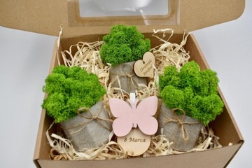 Весенний набор крабовых лесов