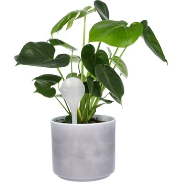 ШАРИКИ ДЛЯ ПОЛИВАНИЯ ДЛЯ ЦВЕТОВ, РАСТЕНИЙ, ГОРШКОВ, НАБОР ДИСПЕНСЕРОВ ВОДЫ, 8 шт.