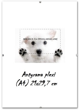 ANTYRAMA PLEXI 21x29,7 (A4) RAMKA 29,7x21, DYPLOM