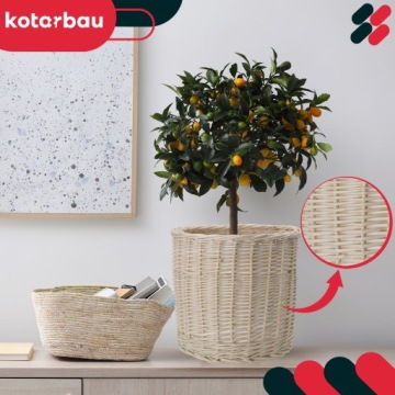 Плетенный корпус. Натуральная плетеная клетка цветочная корзина растения FI28