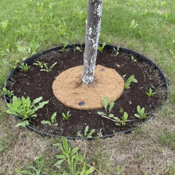 КОКОСОВЫЙ МАТЕРИАЛ ПРОТИВ СОРНЯКОВ, ОБОКРУЖЕНИЕ МОЛСТЫХ РАСТЕНИЙ. 5ММ, ДИАМ. 60 СМ