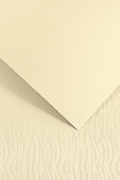 Papier Karton ozdobny PACIFIC KREMOWY A4 200g 20ark