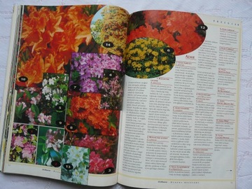 ВЫДЕЛИТЕ ВЛАДЕЛЬЦУ 200 СТРАНИЦ СПЕЦИАЛЬНЫЙ ВЫПУСК