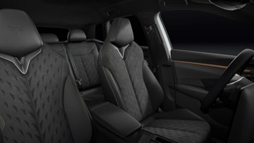 Cupra Terramar SUV 1.5 eTSI 150KM 2025 Cupra Terramar 1.5 e-TSI 150 KM DSG - Dostępny od, zdjęcie 5