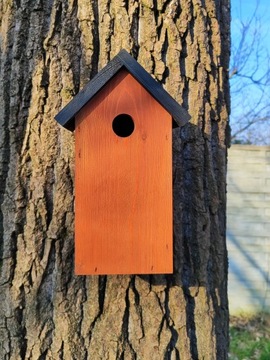 СКВОРОТКА - ЦВЕТНАЯ КРЫША, высота 30 см