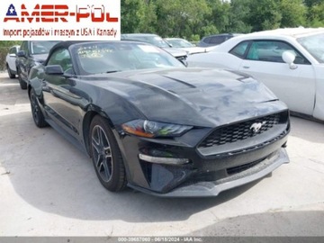 Ford Mustang VI 2023 Ford Mustang 2023 Ford Mustang EcoBoost Convertible 2.3 Benzyna 310KM