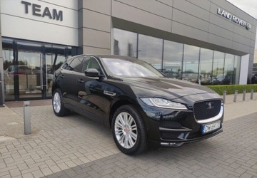 Jaguar F-Pace SUV 3.0 V6 340KM 2016 Jaguar F-Pace 3.0 SC V6 340KM AWD Portfolio 3.0 Benzyna 340KM, zdjęcie 5