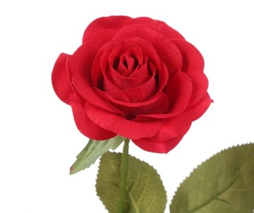 BIAŁA SZTUCZNA WIECZNA RÓŻA W SZKLE SZKLANEJ KOPULE PREZENT NA DZIEŃ MATKI