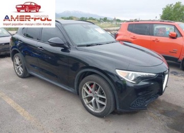 Alfa Romeo Stelvio SUV 2.0 Turbo 280KM 2018 Alfa Romeo Stelvio Ti Sport 2018 2.0l 2.0 Benzyna 280KM