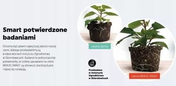 Почва для кислолюбивых растений проверена + УДОБРЕНИЯ