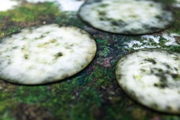 2D НАБОР РЕЗИНОВОГО МЕСТНОСТИ - ТУМАН