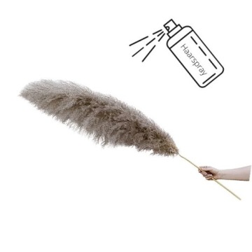 БУКЕТ СУШЕННАЯ ПАМПАССНАЯ ТРАВА БОЛЬШОЙ БЕЛЫЙ XXL 6 шт.