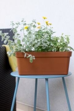 Балконный ящик Лобелия вазон 40 Кремовый