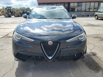 Alfa Romeo Stelvio SUV Facelifting 2.0 Turbo 280KM 2020 Alfa Romeo Stelvio TI 2020 2.0l 2.0 Benzyna 280KM, zdjęcie 5