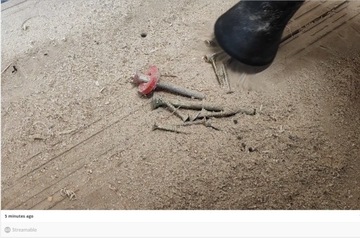 Фильтр-колба для сбора крупной пыли, Ø35 Вт.