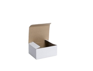 PUDEŁKO KARTON 250x150x100 BIAŁE 20szt