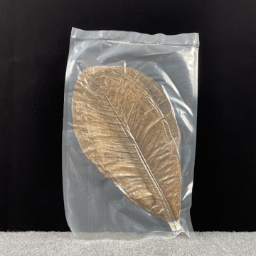 УКРАШЕНИЯ ИЗ СУХИХ ЛИСТЬЕВ БЛЮДА СУШИ ЛИСТЬЯМИ ПУЕ