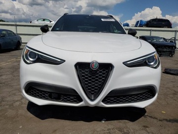 Alfa Romeo Stelvio SUV Facelifting 2.0 Turbo 280KM 2023 Alfa Romeo Stelvio 2023r., 4x4 2.0L 2.0 Benzyna 280KM, zdjęcie 4