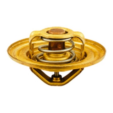 TERMOSTAT BIZON Z-056/Z-058 687TW20