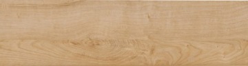 Natural N2 Semi -Ribbeck Oak +бесплатно