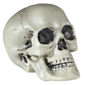 ЧЕРЕП СТРАШНЫЙ ХЭЛЛОУИН УЖАС УКРАШЕНИЕ ЧЕРЕП