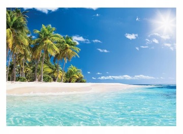 FOTOTAPETA PLAŻA MORZE OCEAN PALMY NATURA NIEBO TAPETA ŚCIENNA 368x254