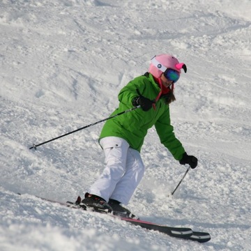 Чехол для шлема COOLCASC Animals Flamingo