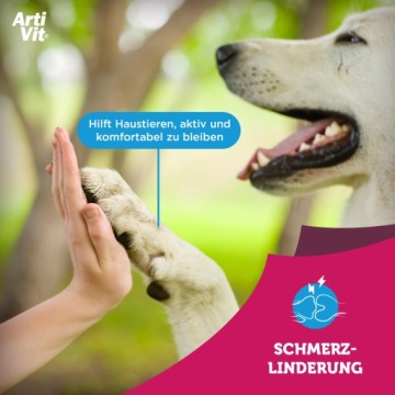 VITAR Veterinae ArtiVit Сироп 1000 мл + Дентон 100 г + Игрушка для собакКрасный мяч GRATIS
