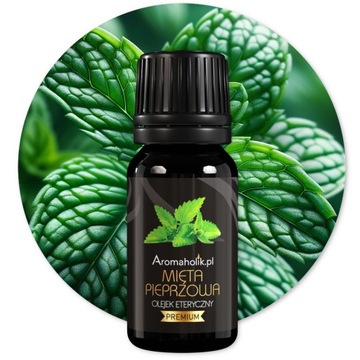 АРОМАТИЗАТЫ ДЛЯ САУНЫ - НАТУРАЛЬНЫЕ ВКУСЫ 12 шт.