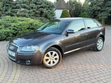Audi A3 8P Hatchback 3d 1.6 102KM 2004 Audi A3 3-drzwiowe 1.6mpi 102KM Klima Alusy Grzane fotele Sprawdz 1.6, zdjęcie 13