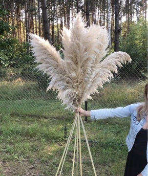 ДЕЛЮКС ПАМПАССКАЯ ТРАВА 150см С ДЛИННЫМ ПЕРЕМЫЧЕМ