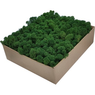 Mech Chrobotek PREMIUM Forest Green Karton 1kg