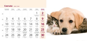 Календарь настольный на 2024 год ФОТО 24 х 11 см ДРУЗЬЯ