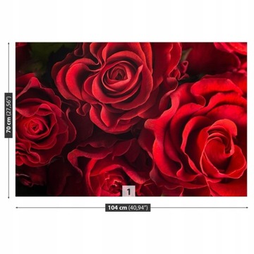 TAPETA flizelinowa Czerwone róże - 104x70