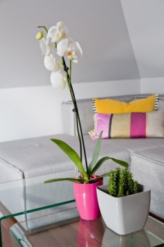 Крышка для цветочного горшка ПП ORCHID Круглая БЕЖЕВАЯ 14 см