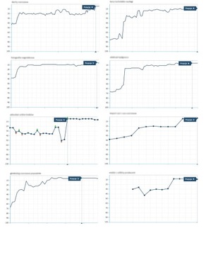 ЕЖЕГОДНОЕ ПОЗИЦИОНИРОВАНИЕ 3-х фраз в ТОП-3