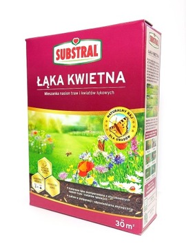 TRAWA ŁĄKOWA KWIETNA ŁĄKA NASIONA KWIATÓW ŁĄKOWYCH TRAWNIK KWIECISTY