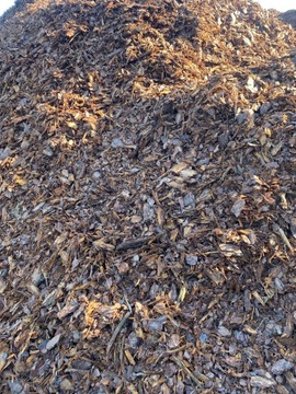 20x Кора сосновая 60л фракция 1-12см свежая с лесопилки ДОСТАВКА