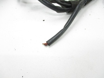 Компьютер-контроллер жгута проводов сжиженного нефтяного газа Landi Renzo EVO