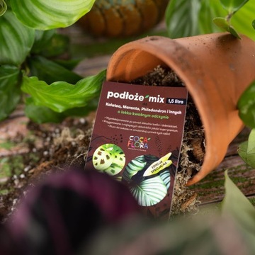 MIX Soil Calathea Maranta Philodendron - Субстрат - Лесной вред для растений