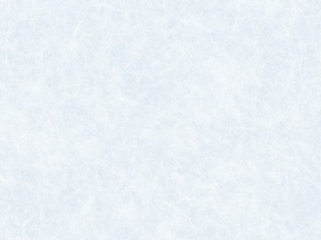 Folia okienna statyczna premium REISPAPIER 45x150