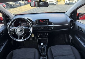 Kia Picanto III Hatchback 5d 1.0 MPI 67KM 2019 Kia Picanto 1,0 67KM klimatyzacja 1Wlasciciel Kola lato zima Benzyna, zdjęcie 15