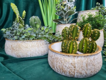 ЗОЛОТАЯ КЕРАМИЧЕСКАЯ ПОКРЫТКА FI18