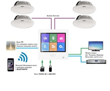 DEXON ВСТРАИВАЕМОЕ BLUETOOTH РАДИО ДЛЯ ВАННОЙ + 4 ДИНАМИКА