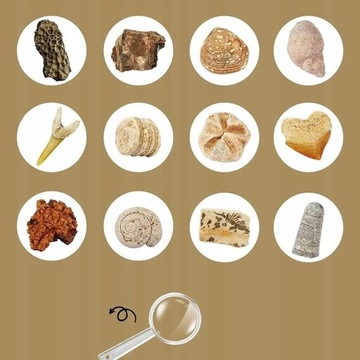 KOPALNIA WYKOPALISKA SKAMIELINY ARCHEOLOG ZESTAW