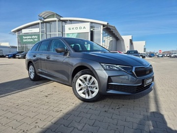 Skoda Octavia IV 2026 Skoda Octavia Edition 130 2.0 TSI DSG 204KM 4x4 Au, zdjęcie 4