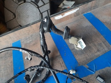 KOLEOS I FACELIFT SVAZEK INSTALACE DVEŘE PRAVÝCH PŘEDNÍ 13R