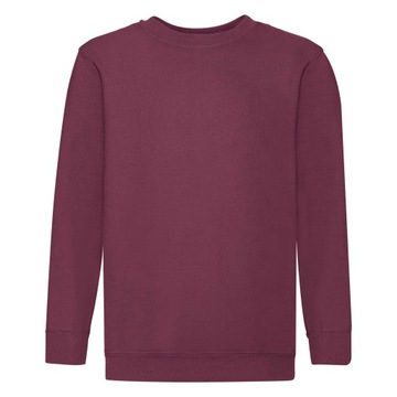 BLUZA DZIECIĘCA KLASYCZNA SET IN FRUIT BURGUND 152