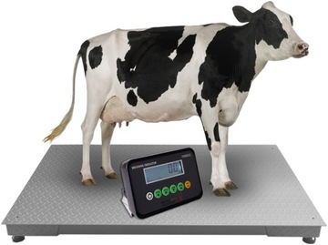 WAGA INWENTARZOWA ROLNICZA BYDŁO KROWY 120x220 5T