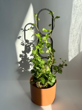 Подставка для растений Climbing Plant Support Лестница для цветов Climbing Flower Support M 31 см